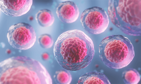 GMP‑Grade Human Platelet Lysate - a Game Changer in Stem Cell Therapy