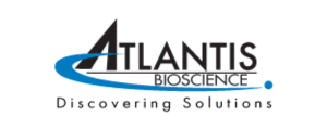 Atlantis 2