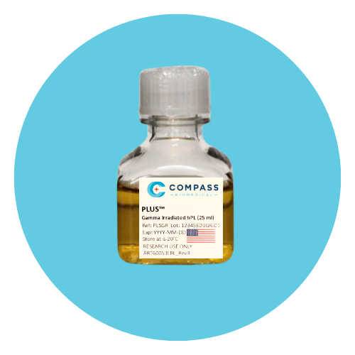 Gamma 25_new